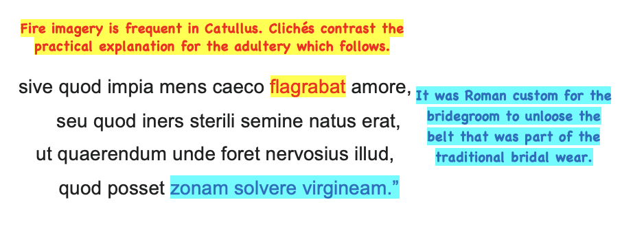 <p>sive quod impia mens caeco flagrabat amore,</p><p>seu quod iners sterili semine natus erat,</p><p>ut quaerendum unde foret nervosius illud,</p><p>quod posset zonam solvere virgineam.”</p>