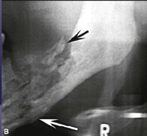 <p>what is the black arrow pointing to&nbsp;</p>