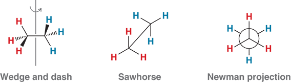 <ol><li><p>To draw a Newman Projection you have to look at it from the angle it is showing you</p></li><li><p>The front of the circle will be the front carbon</p></li><li><p>The back of the circle will be the Back carbon</p></li></ol><p></p>