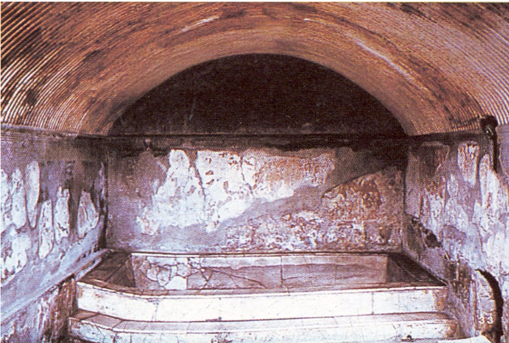 <p>The hot tub in the caldarium, Forum Baths, Herculaneum</p>