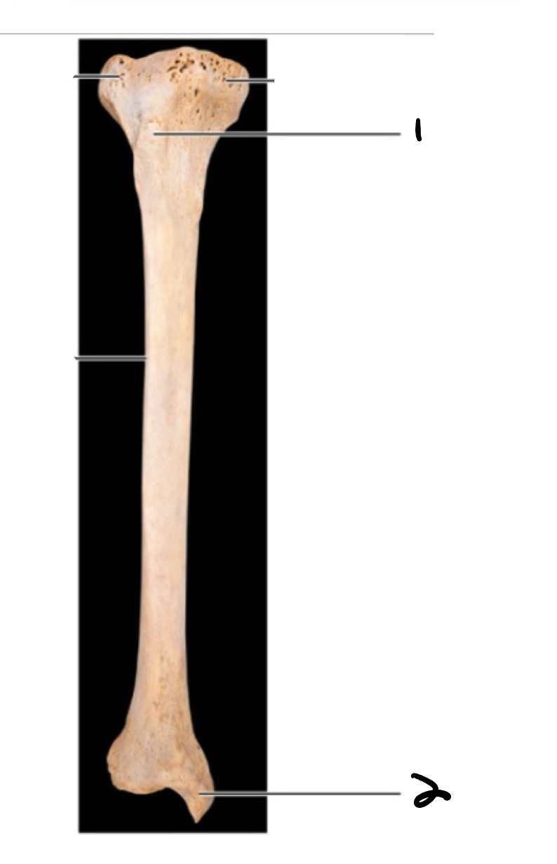 <p>2</p>
