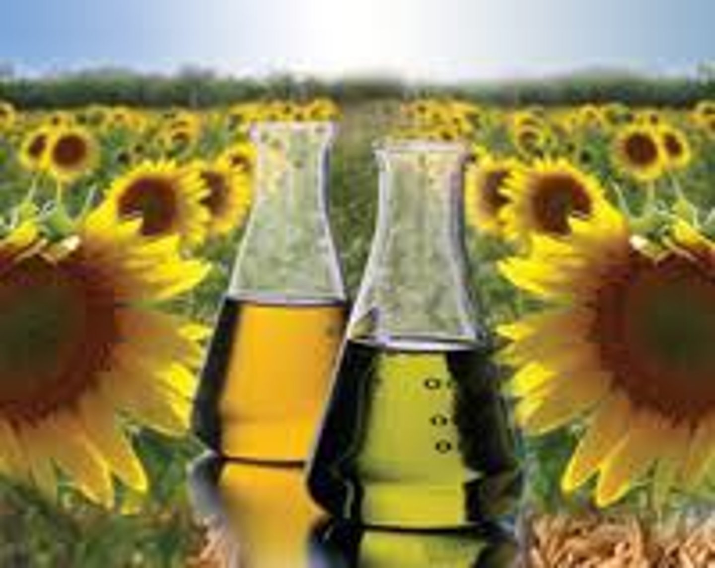 <p>A diesel substitute produced by extracting and chemically altering oil from plants, often algae.</p>