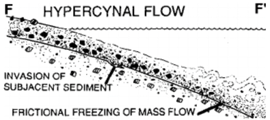 <p><span>When ρ jet &gt; ρ ambient (e.g. high suspended load entering fresh water), the jet hugs the bed</span></p><p>Hyperconcentration s<span>ediment supresses jet turbulence</span></p><p><span>Doesn’t mix instead travels along the bottom</span></p>
