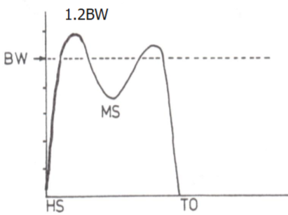 <ol><li><p>Largest force (as it is the force needed to support BW).</p></li><li><p>Maximum force is about 1.2BW.</p></li><li><p>loading and unloading need to have similar slope, otherwise is could be a deficit due to injury</p></li><li><p>Double peak curve.</p></li><li><p>1st curve: arrests downward motion of the CoM.</p></li><li><p>2nd peak: propulsive action of limb</p></li><li><p>trough: CoM has upward trajectory but acceleration is downwards.</p></li></ol><p></p>