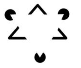 <p>When we visually perceive something that is different from our reality. The gestalt laws can be used to help describe how our brains create these optical illusions. </p>
