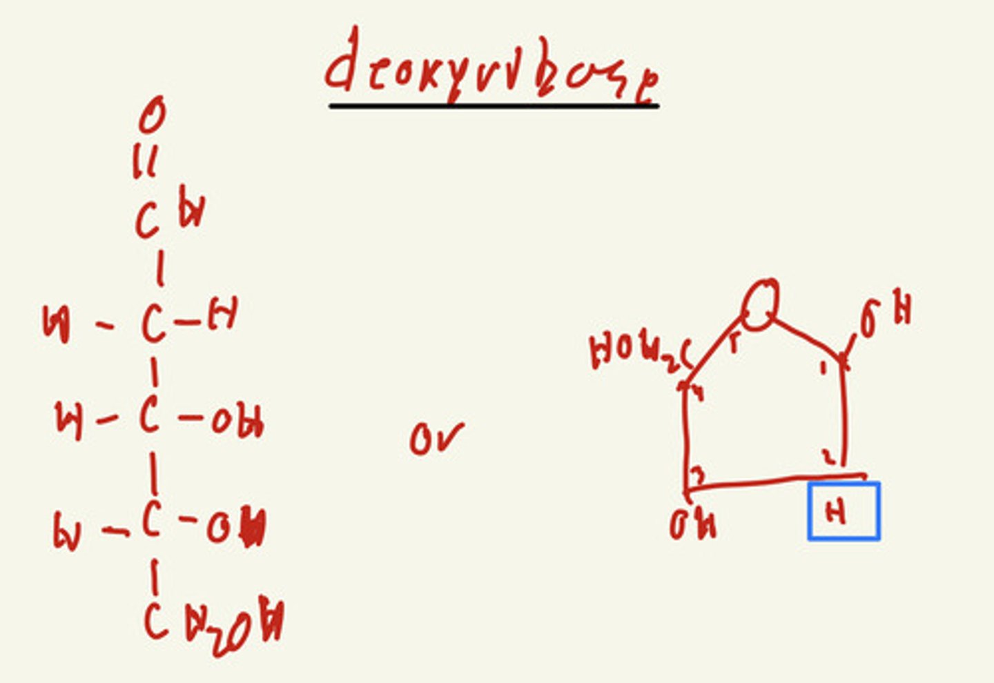 <p>REMEMBER HOW TO DRAW IT:</p><p>-------------------------</p><p>Basic rule of thumb:</p><p>- if 2' is H it deoxyribose (DNA</p>