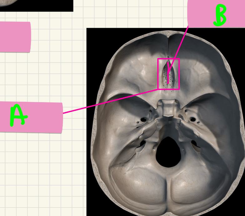 <p>What’s A-B?</p>
