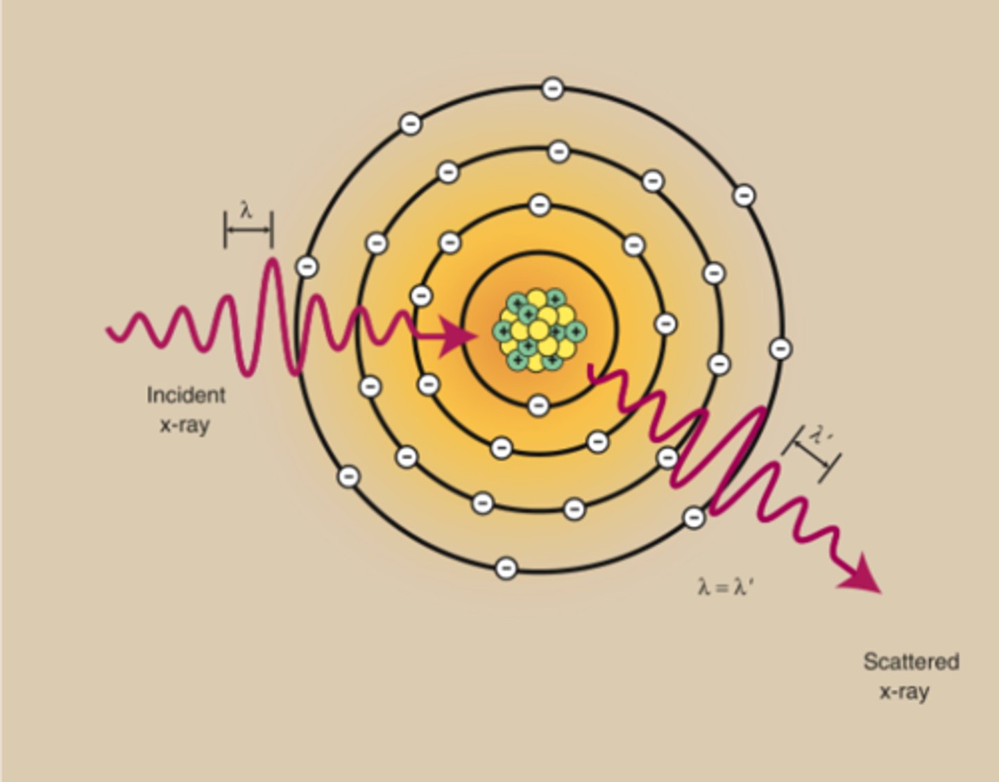 <p>this interaction;</p><p>- occurs in tissues</p><p>- also called classical</p><p>- Produced by low-energy x-ray photons</p><p>- electrons are not removed (this makes it not ionized) but vibrate because of the deposition of energy from the incoming photon (excited)</p><p>- As the electrons vibrate, they emit energy equal to that of the original photon. This energy travels in a path slightly different from the path of the original photon. This is what makes it called scatter</p><p>- Does not affect image less than 70 kVp</p><p>- May have negligible effect on fog greater than 70 kVp</p>
