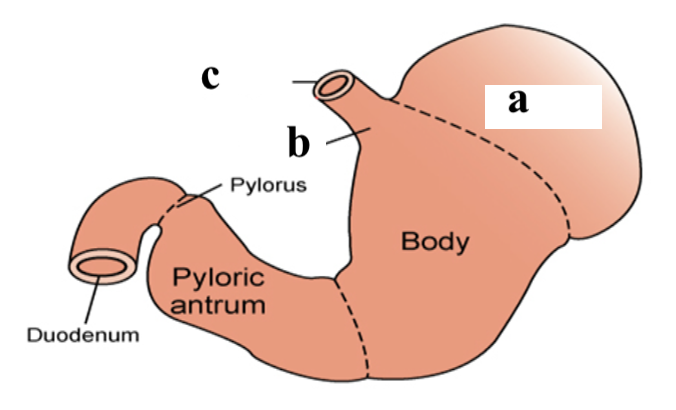 a