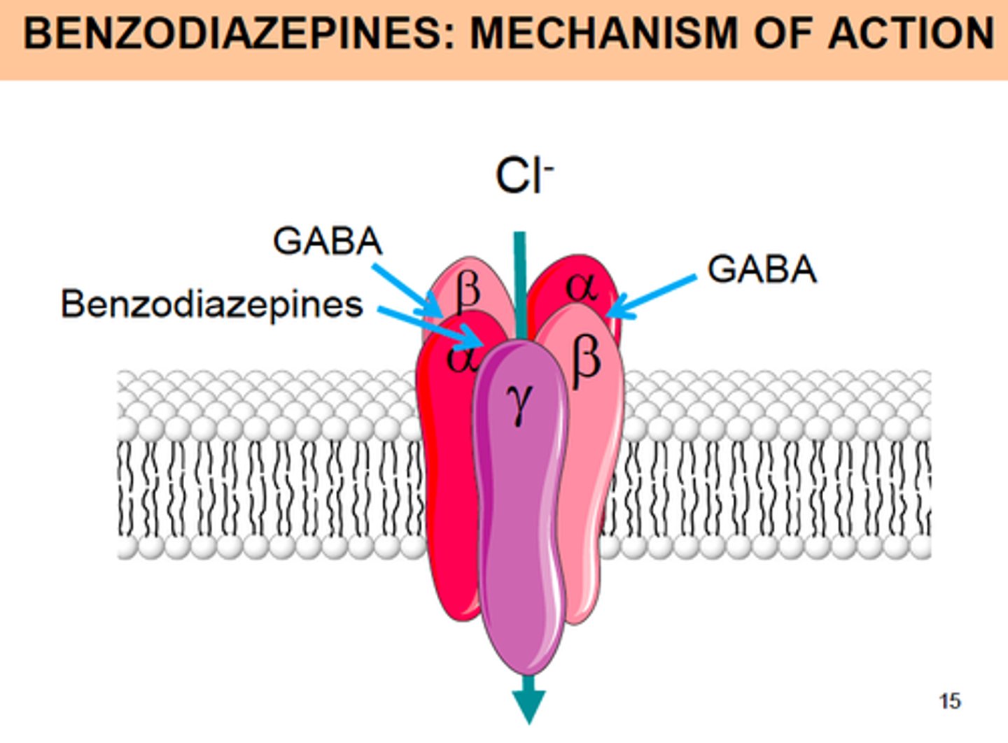 <p>An allosteric site on GABA-a receptor.</p><p>It is between the alpha and gamma subunit (alpha gamma interface)</p>