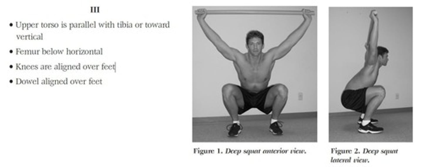 <p>1. Deep Squat, 2. Hurdle Step, 3. Inline Lunge, 4. Shoulder Mobility, 5. Active Straight Leg Raise, 6. Trunk Stability Pushup, 7. Rotary Stability.</p>