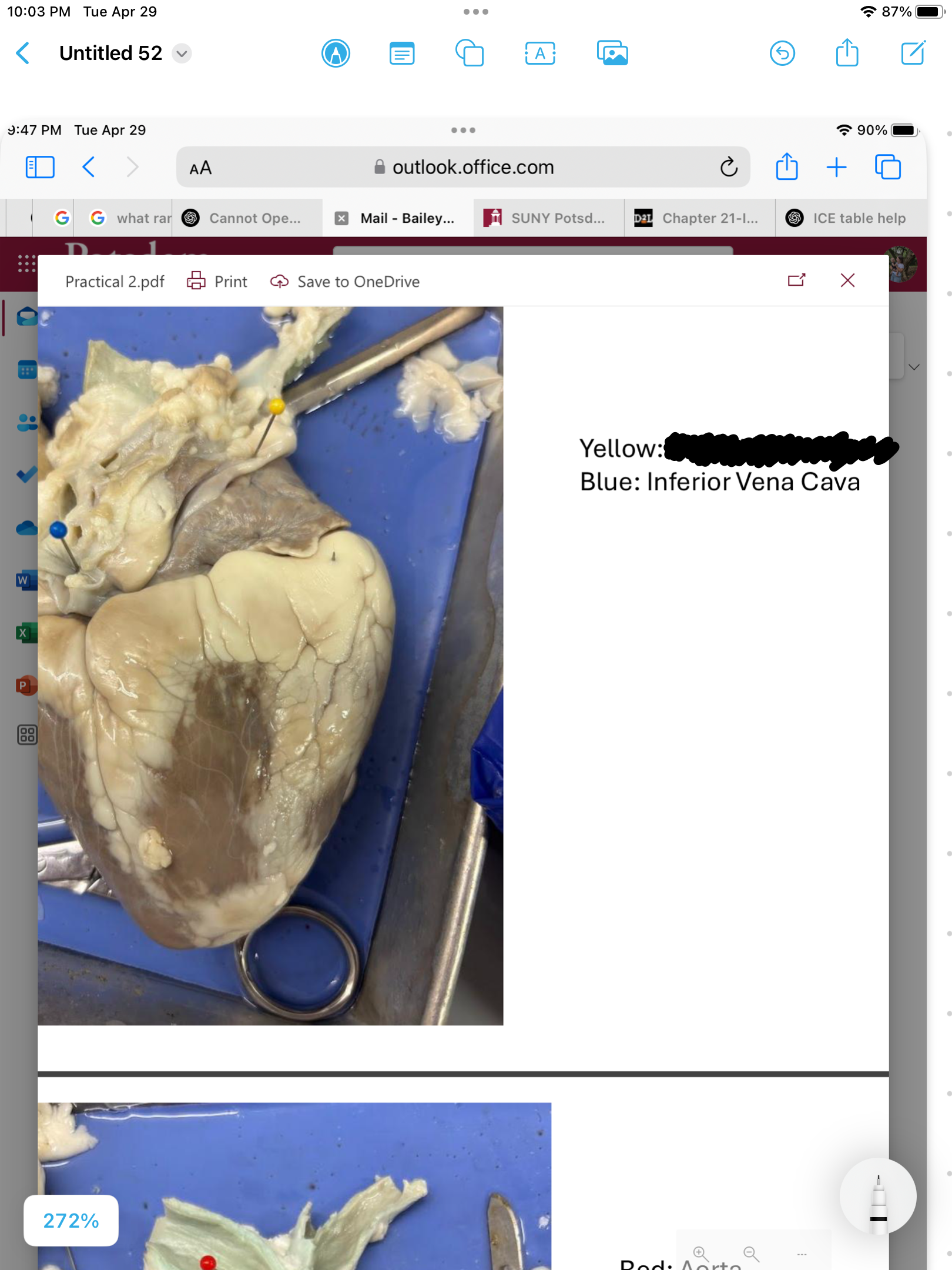 <p>label the area</p>