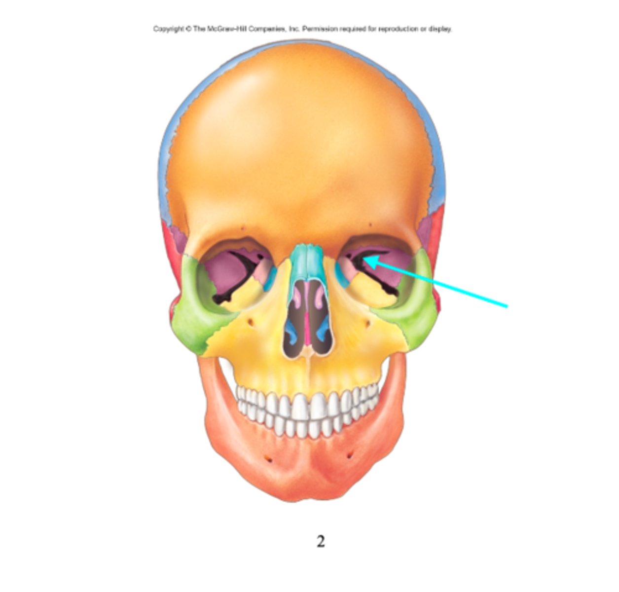 <p>What feature is the blue arrow pointing at?</p>