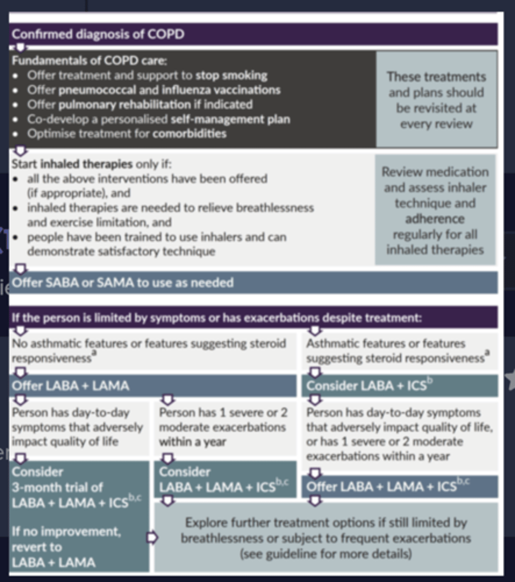 <p>Offer a SABA or a SAMA to use as needed as reliever.</p>