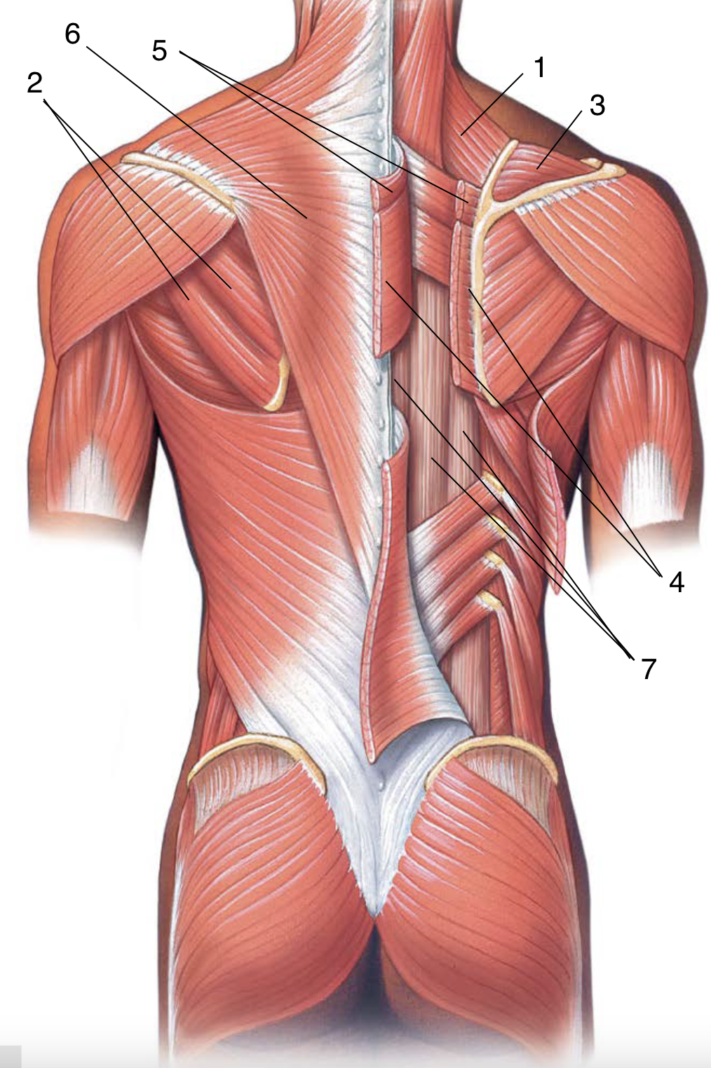 <p>2</p>