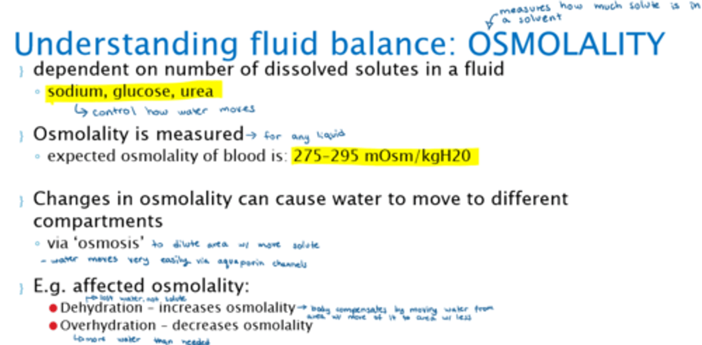 <p>- changes in osmolality can cause water to move to different compartments</p><p>- water moves between circulation and cells via 'osmosis' &amp; aquaporin channels that allow the water to move quickly</p>