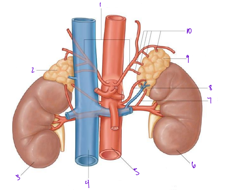 <p>6</p>