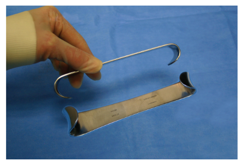 <p>Nickname: Roux</p><p>Use: Retraction, with two blade lengths</p><p>Features: Flat shank shaft, angled bends at tips, rounded and wide</p>