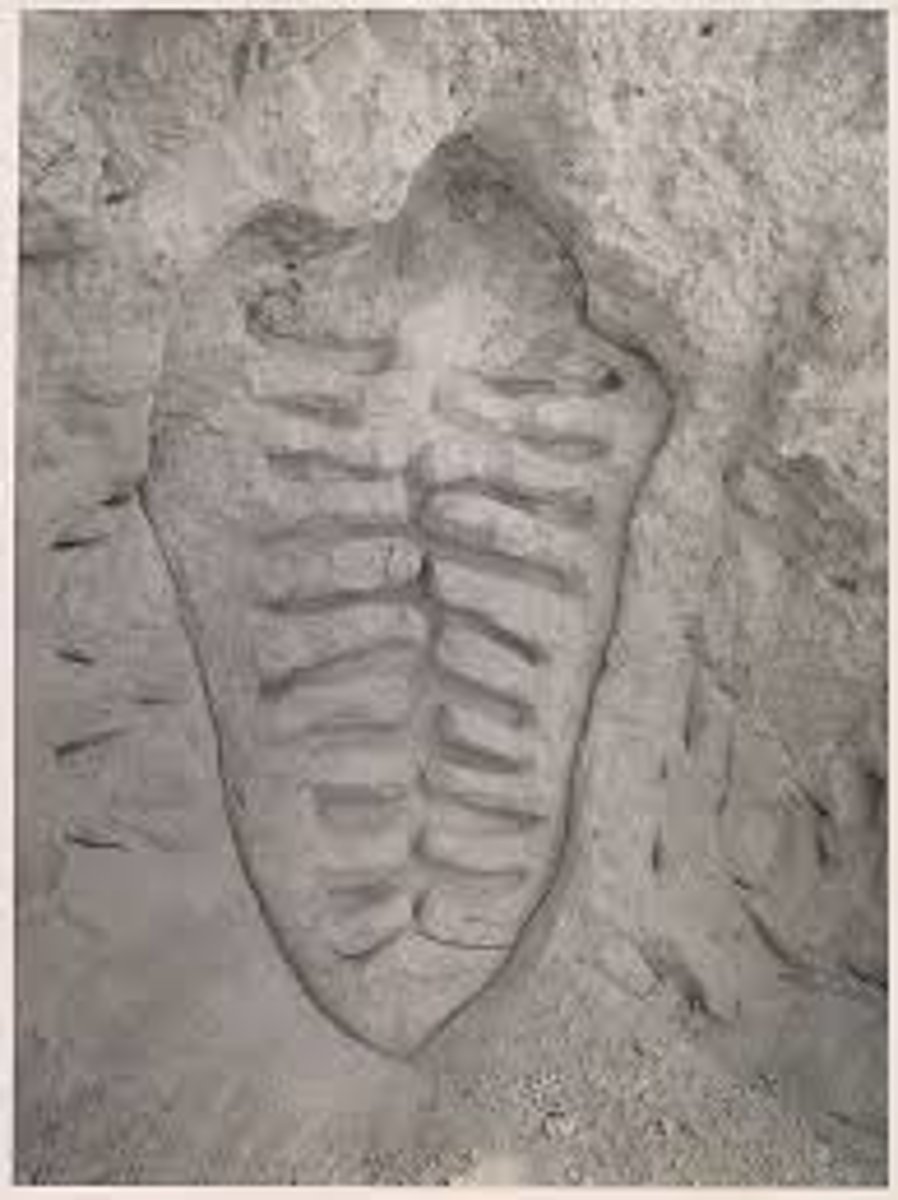 <p>depicts a, visceral, abstracted female form carved into cave walls, symbolizing a reconnection with ancestral roots, the Taíno mother earth spirit, and a feminist melding of the body with landscape. For Mendieta, blood was not a signifier of death, but rather a profound, life-affirming, and earthly symbol, often used to connect her work to both Latin American culture and personal experiences. The work also invokes her traumatic experience of being sent from Cuba as a child, attempting to re-ground herself in that lost land.</p>
