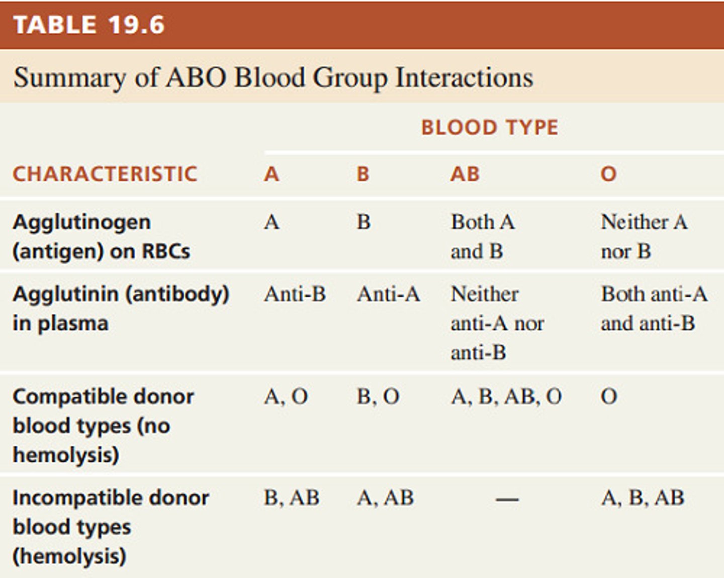 <p>* Agglutiogen (antigen) on RBC: A has A, B has B, AB has both A &amp; B, O has Neither A or B.</p><p>* Aggulutinin (antibody) in Plasma: A has Anti-B, B has Anti-A, AB has none, O has both Anti-A and Anti-B.</p><p>* Compatible Donor Blood Types: A with A and O; B with B and O; AB with A, B, AB, or O; O with O.</p><p>* Incompatible Donor Blood Types (Hemolysis): A with B, AB; B with A, AB; O with A, B, AB</p>