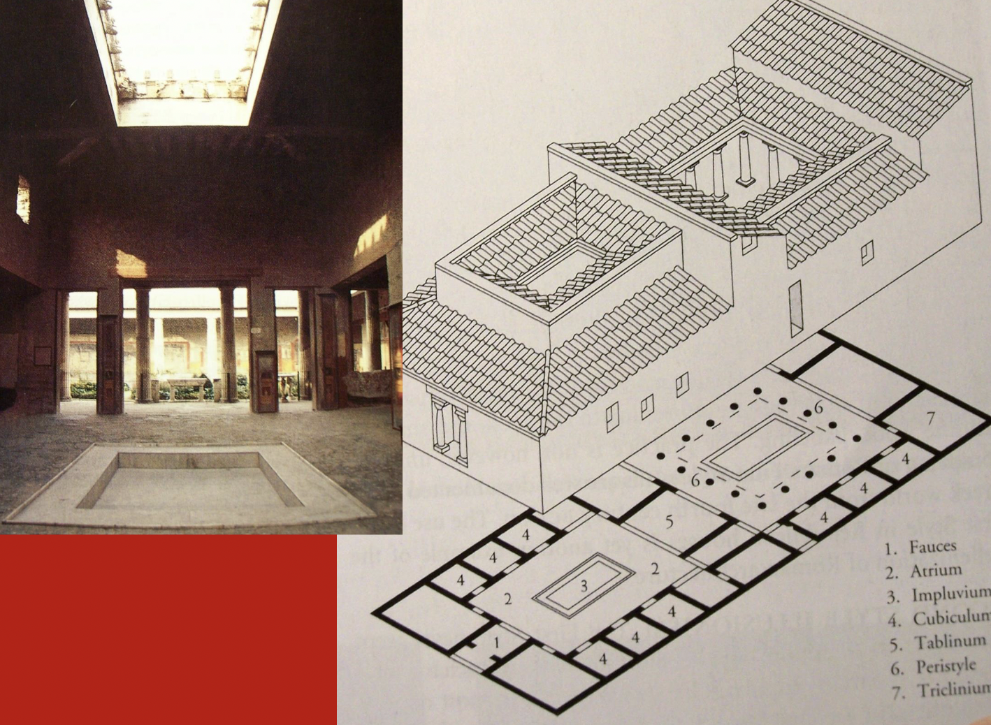 <ul><li><p><strong>Atrium</strong>: The central open area where guests were received; often had a small pool (impluvium) to collect rainwater.</p></li><li><p><strong>Tablinum</strong>: The main room behind the atrium, used by the head of the household for business and meetings.</p></li><li><p><strong>Triclinium</strong>: The dining room, usually with couches for reclining while eating.</p></li><li><p><strong>Cubicula</strong>: Small bedrooms surrounding the atrium or other parts of the house.</p></li><li><p><strong>Peristyle</strong>: A garden courtyard at the back, often surrounded by columns.</p></li><li><p><strong>Kitchen (culina)</strong>: A small, functional space for cooking.</p></li><li><p><strong>Other rooms</strong>: Storage rooms, baths, and sometimes private rooms for slaves.</p></li></ul><p></p>