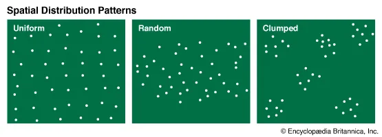 * uniform 
* random
* clustered
* linear