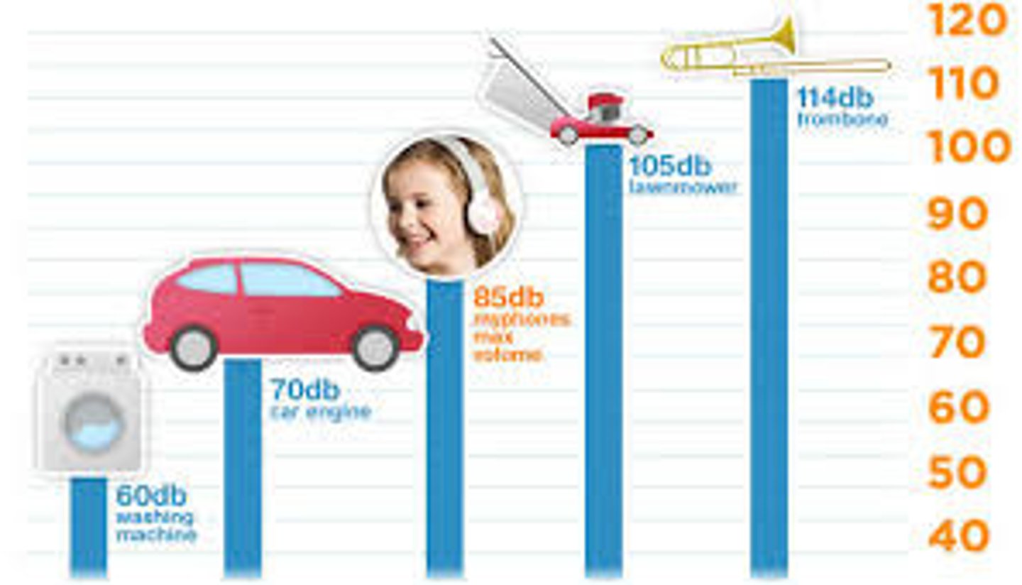 <p>how the loudness of a sound is measured</p>