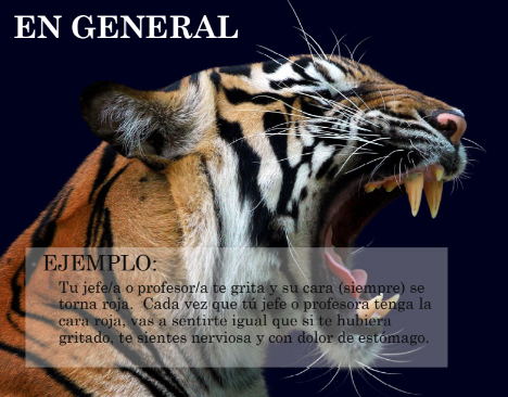<p><u>aprendizaje.</u></p><p>Se puede observar que se le enseñó a los animales a salivar ante el sonido de una campana. <span style="color: red;">ESTÍMULO QUE NORMALMENTE NO PROVOCA ESA REACCIÓN. </span></p>