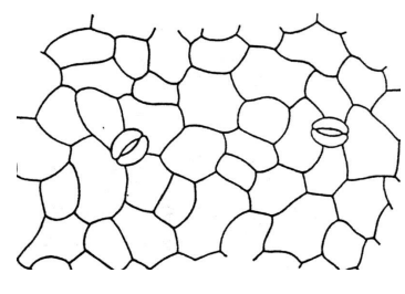 <p></p>