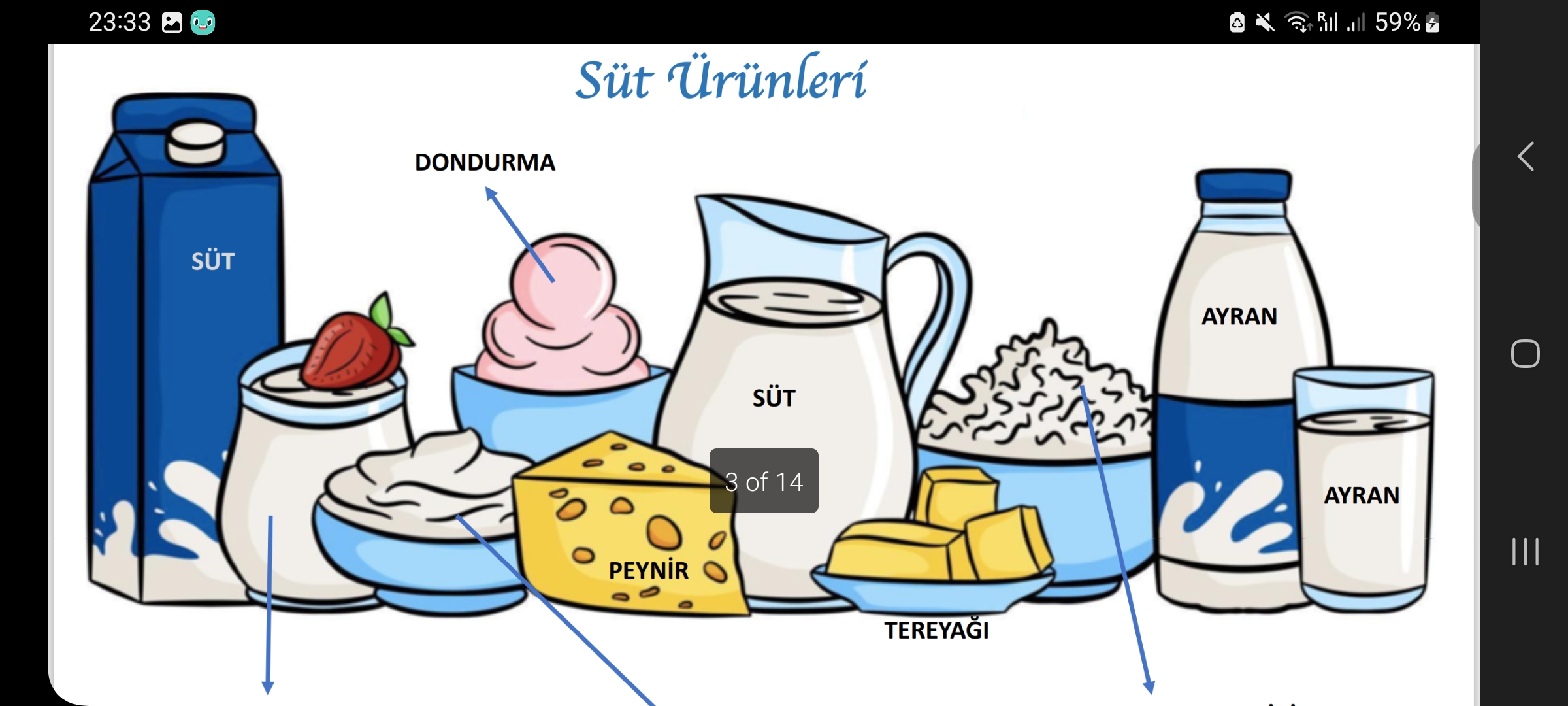 <p>Süt ürünleri </p>