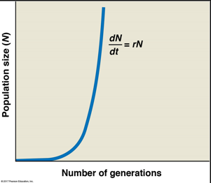 <p>The number of individuals increases at a constant rate over time, typically resulting in a J-shaped curve on a graph. This occurs in ideal conditions with abundant resources. </p><p>Ex. Elephants after hunting was banned</p>
