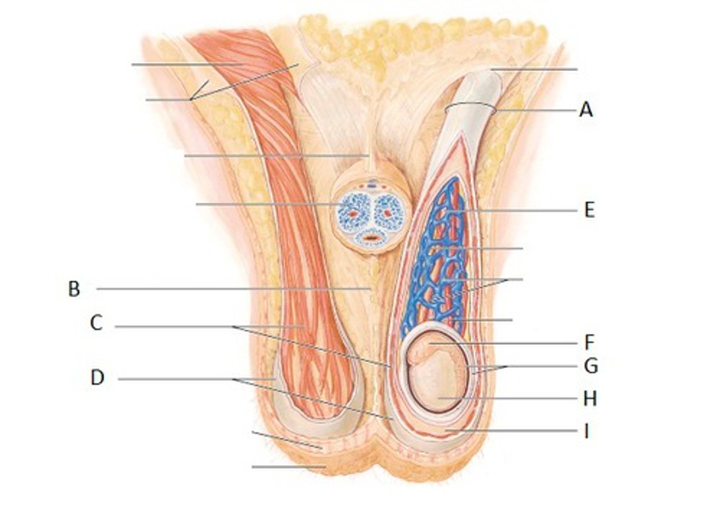 <p>What is B?</p>
