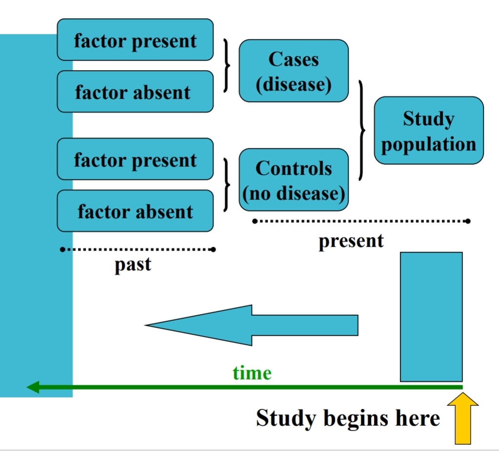 <p>Case-Control Studies</p>