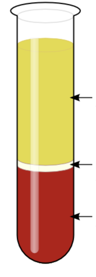 <p>components of centrifuged blood?</p>