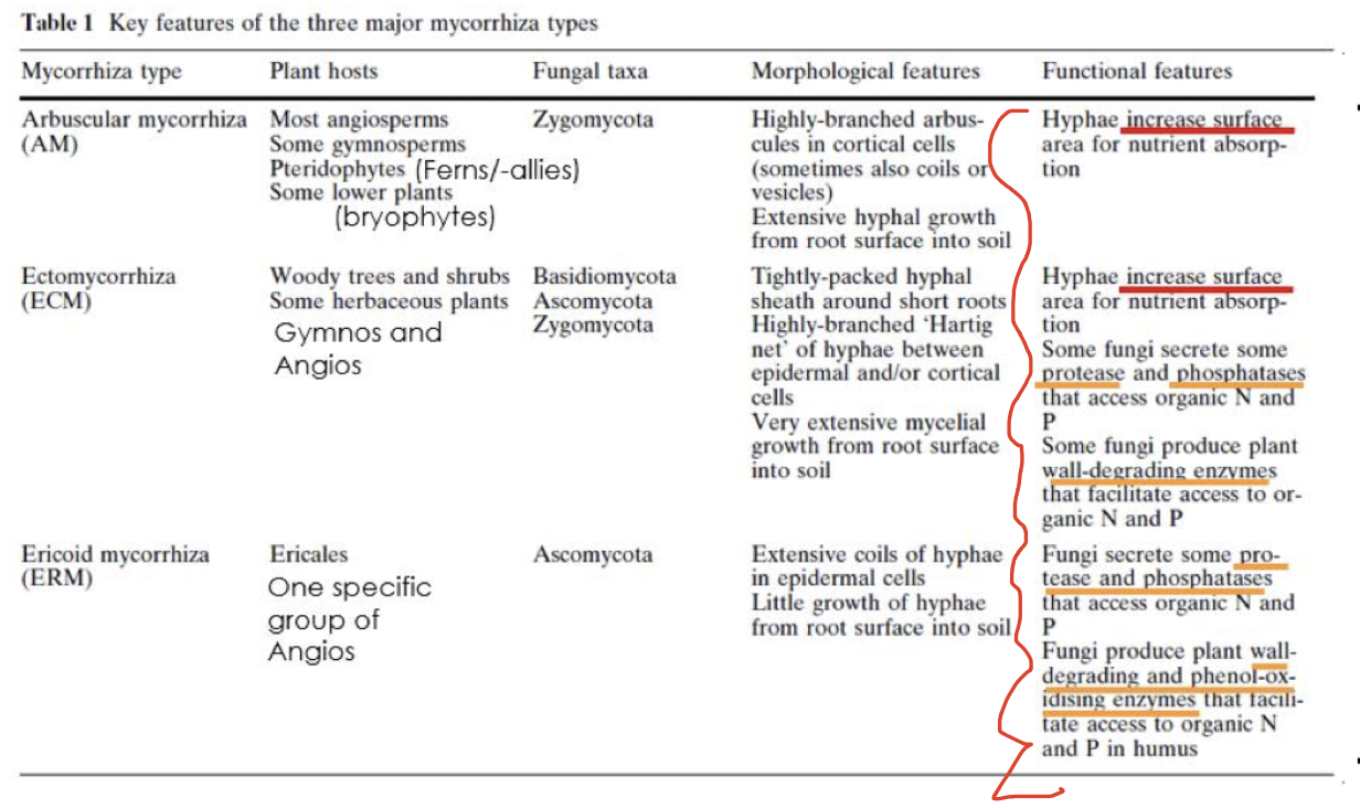 Functional features are crucial for plants (N, P, H2O)