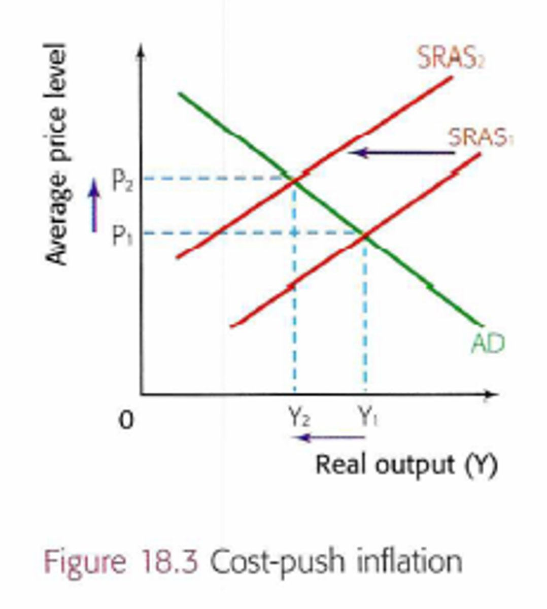 <p>a leftward shift in the SRAS curve from SRAS1 to SRAS2 will lead to higher prices caused by cost push factors. it will also lead to a lower equilibrium output level</p>