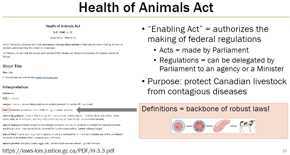 <p><strong>Enabling Act</strong><br> Authorizes creation of federal regulations</p><p><strong>Acts vs Regulations</strong><br> Acts are made by Parliament<br> Regulations can be delegated by Parliament to an agency or Minister</p><p><strong>Purpose</strong><br> Protect Canadian livestock from contagious diseases</p><p><strong>Importance of Definitions</strong><br> Clear definitions form backbone of robust laws</p>
