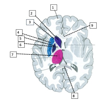 <p>8</p>