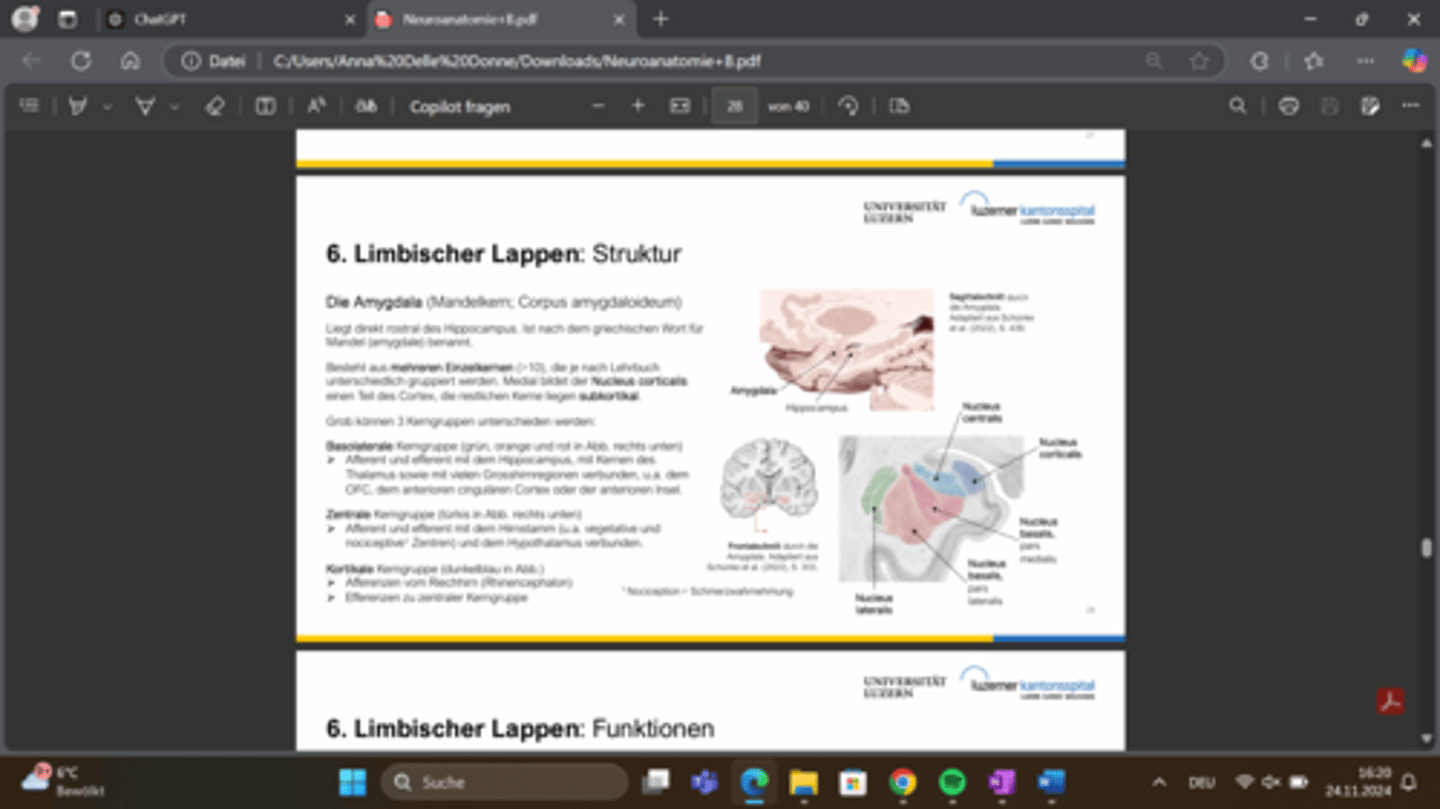 <p>liegt rostral des Hippocampus und ist für die emotionale Bewertung von Reizen, die Speicherung emotionaler Gedächtnisinhalte und die Modulation vegetativer Prozesse zuständig.</p>