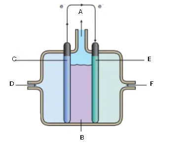 <p>What is this diagram? Label it (6)</p>