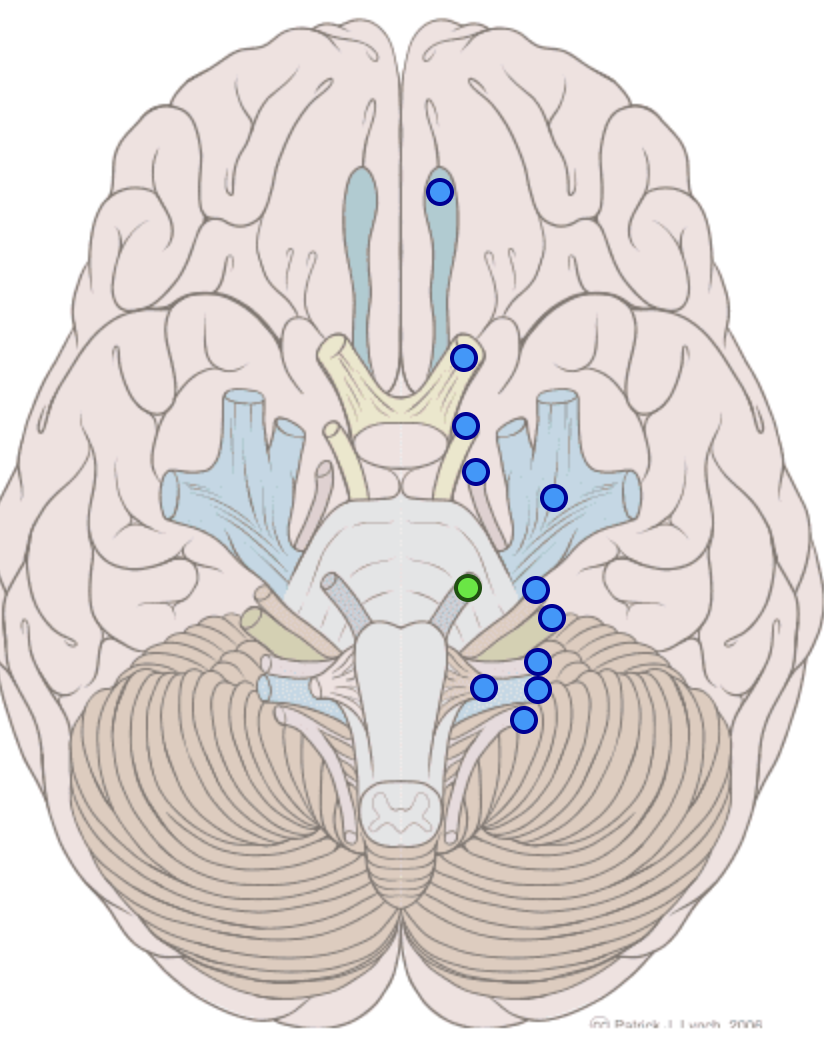 knowt flashcard image