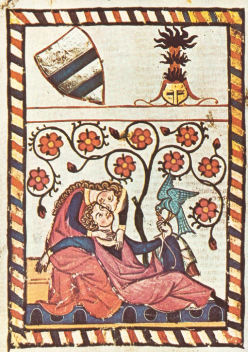 term image