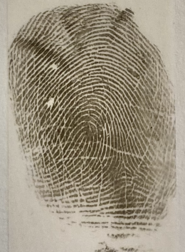 <p>right hand</p>