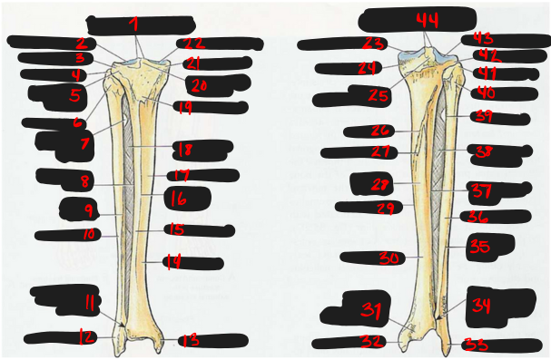 <p>41</p>