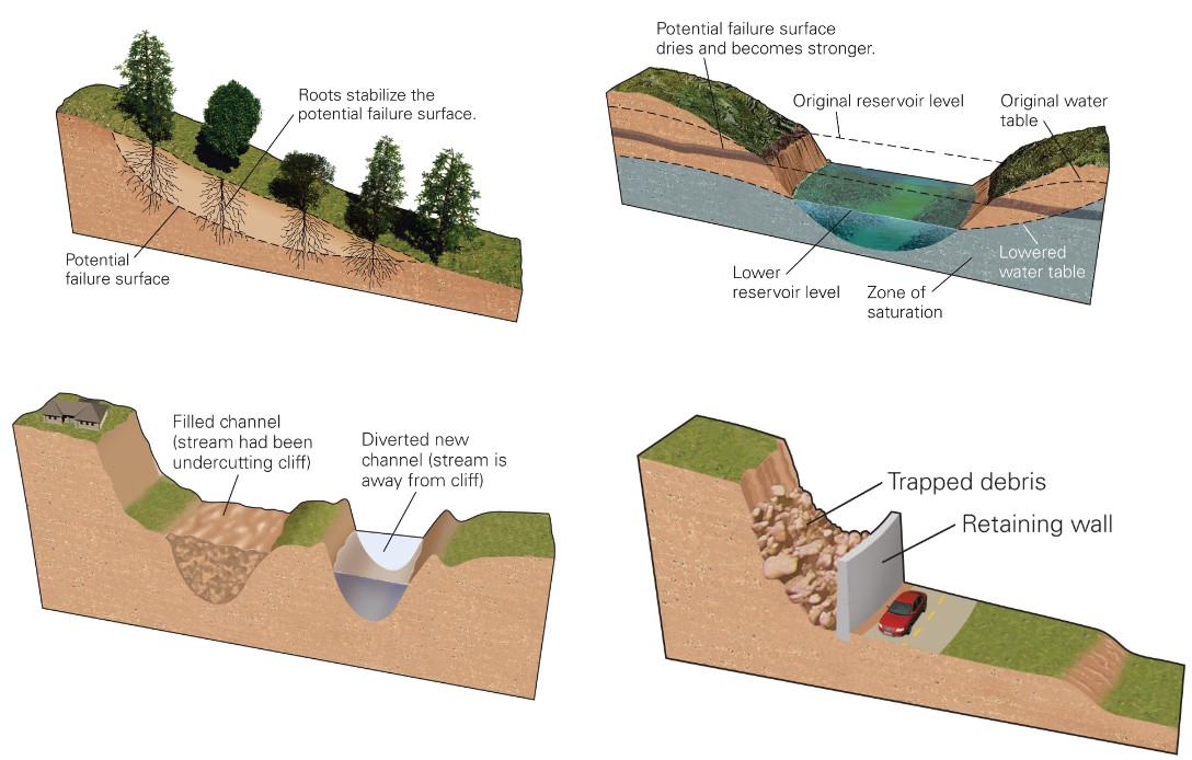 <ul><li><p>roots of plants</p></li><li><p>reservoir lowering</p></li><li><p>river undercutting flow</p></li><li><p>retaining wall</p></li><li><p>pipes</p></li><li><p>metal screening</p></li><li><p>debris basin</p></li><li><p>rock bolt</p></li></ul>