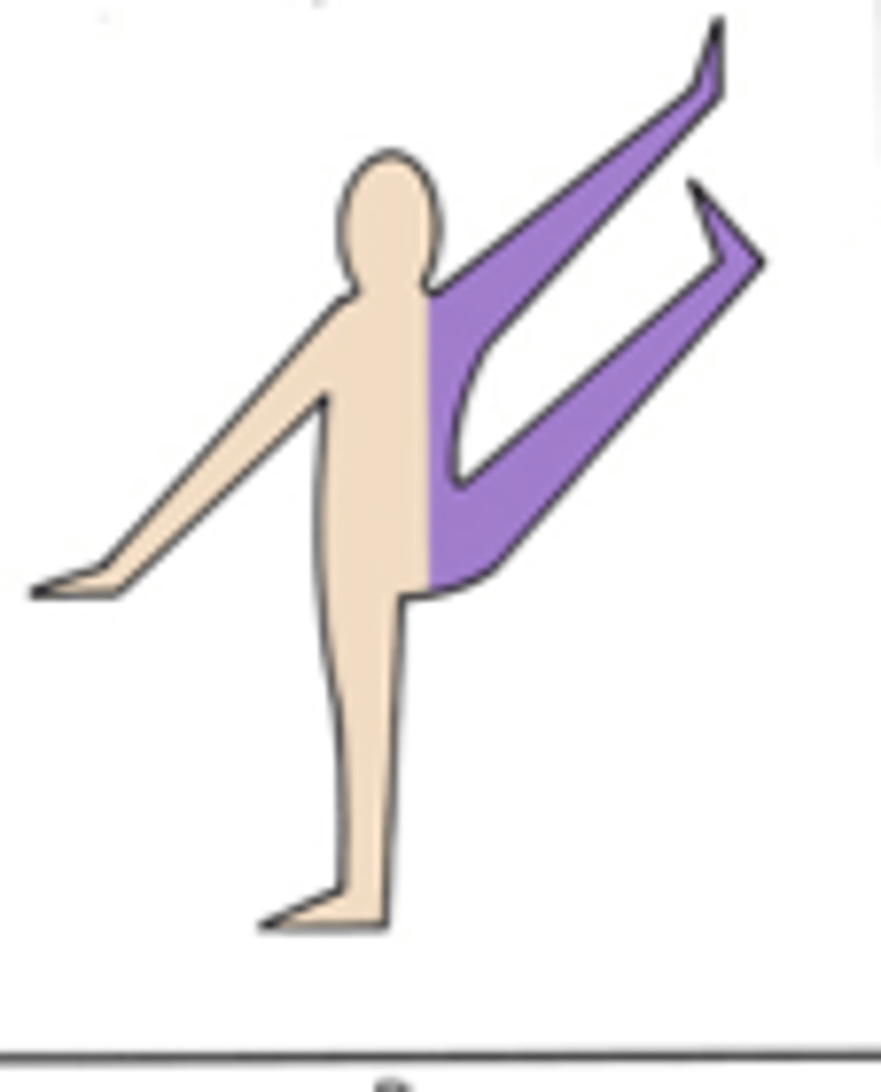 <p>same-side extremities move together</p>