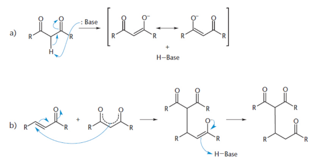 <p>the carbanion attacks an α,β-unsaturated carbonyl compound, a molecule with a multiple bond between the α- and β-carbons next to a carbonyl</p>