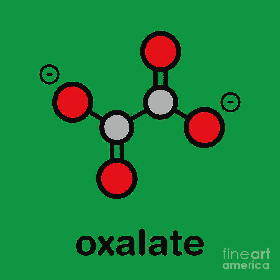 <p>red= oxygen</p><p>white = carbon</p>