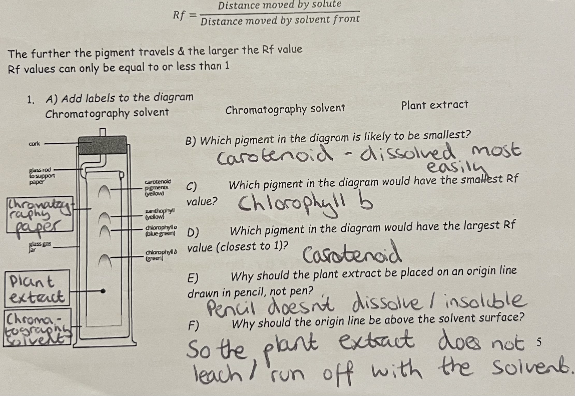 <p>Different photosynthetic pigments can be separated using chromatography.</p><p>Pigments (the solute) are ground & dissolve in a solvent, e.g. propanone & are absorbed onto chromatography paper</p><ul><li><p>more soluble pigments travel further (tend to be smaller)</p></li><li><p>pigments that are absorbed less by the chromatography paper travel further</p></li></ul><p>The further the pigment travels & the larger the Rf value</p><p>Rf values can only be equal to or less than 1</p>