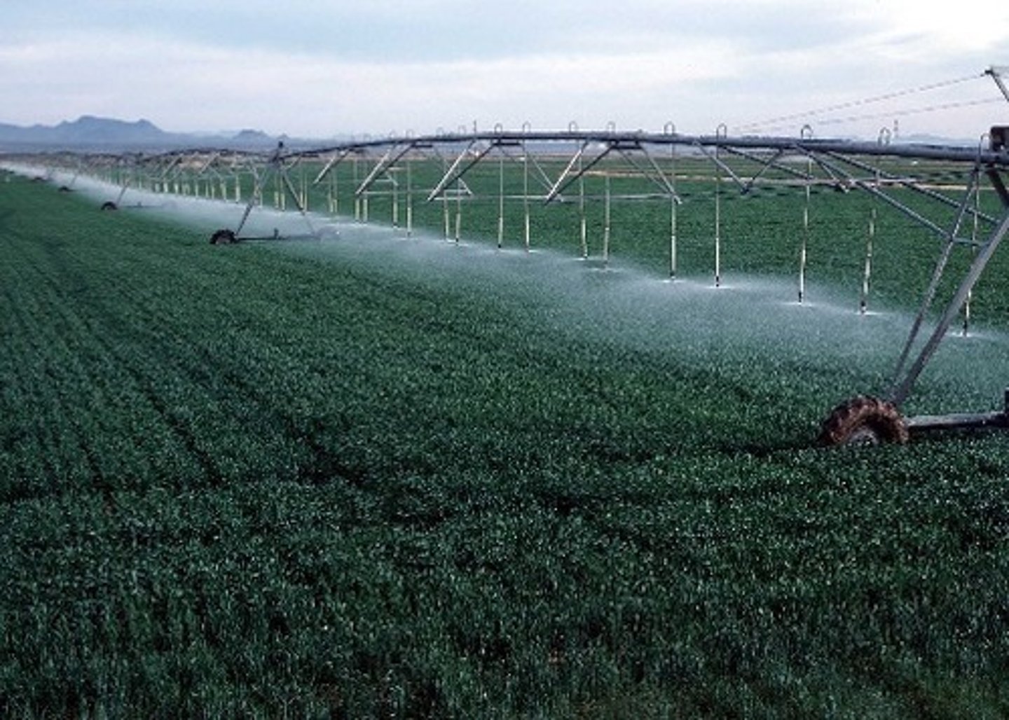 <p>Utilization of technology and efficient farming practices to maximize food yields, supporting larger populations.</p>